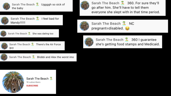 Sarah The Beach - Skimask Andy Live chat posts of concern